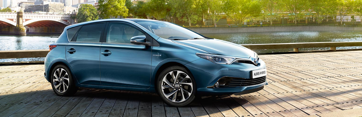 Auris Business Edition